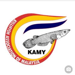 KAMY